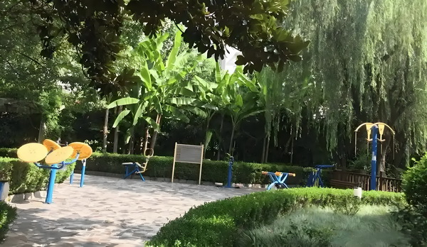 白发王妃：王爷的替身新娘
